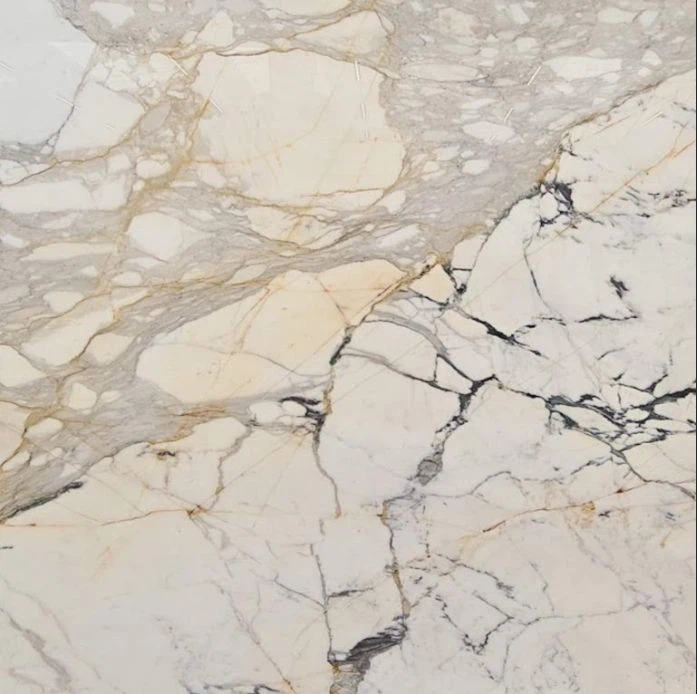 Calacatta Paonazzo Marble
